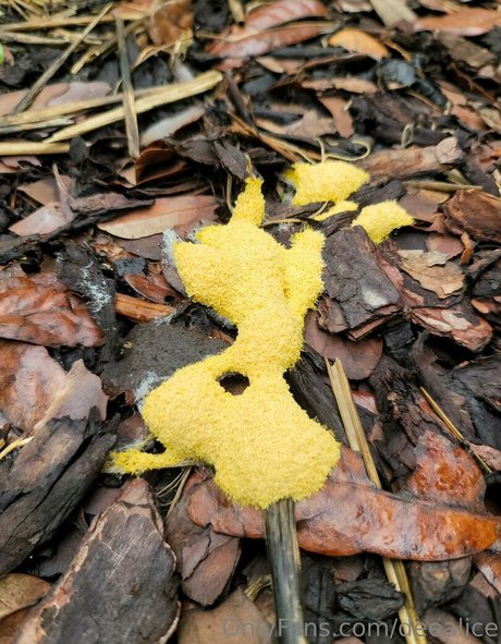 asmr feet onlyfans hot nude photos