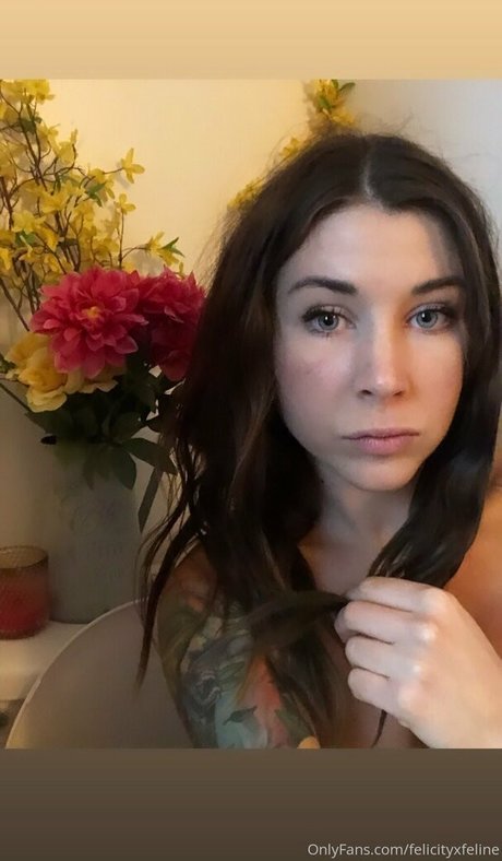 felicityfeline nude leaks onlyfans