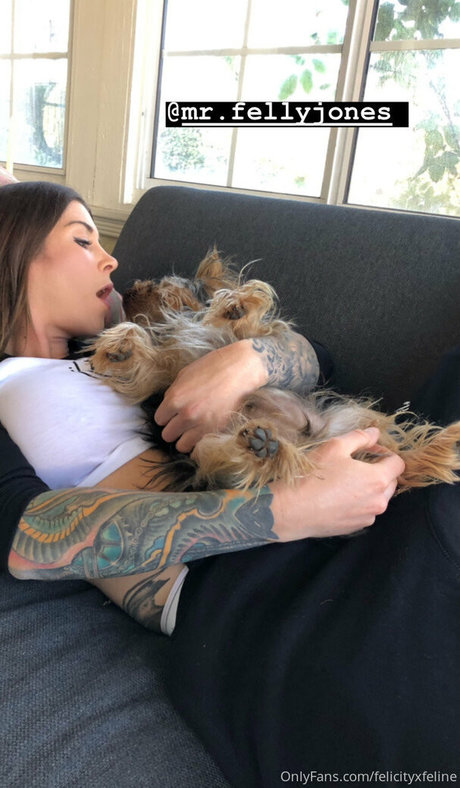felicityfeline nude onlyfans