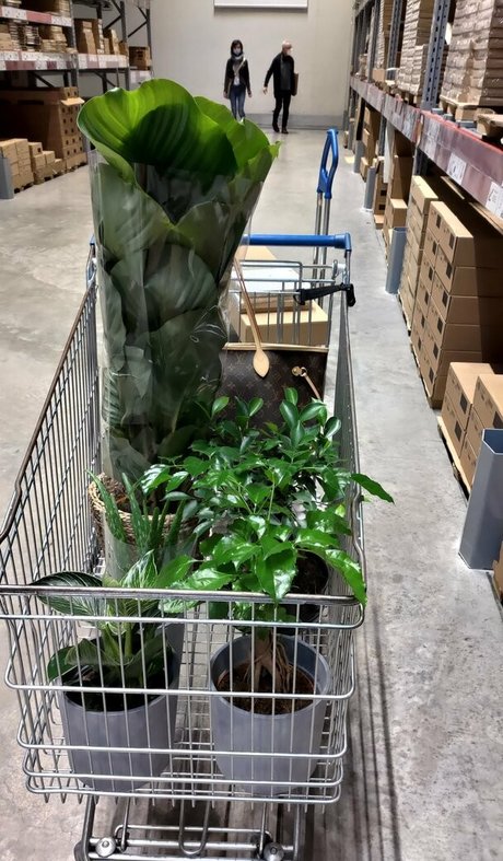 taylorburton onlyfans leaked dirtyship