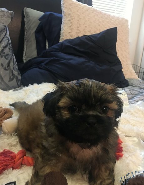 sablevanell onlyfans naked leak