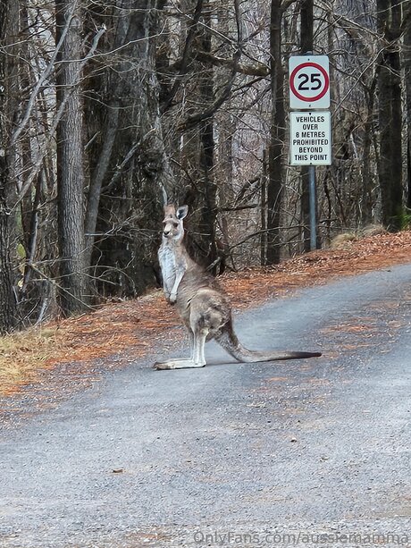 latina feet onlyfans top candids