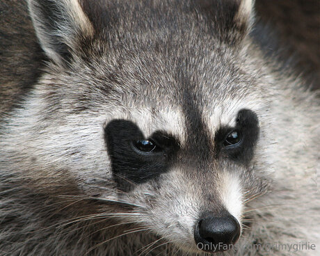 Grimygirlie nude porn onlyfans