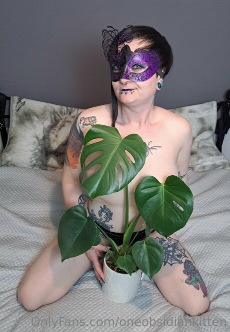 Oneobsidiankitten nude onlyfans
