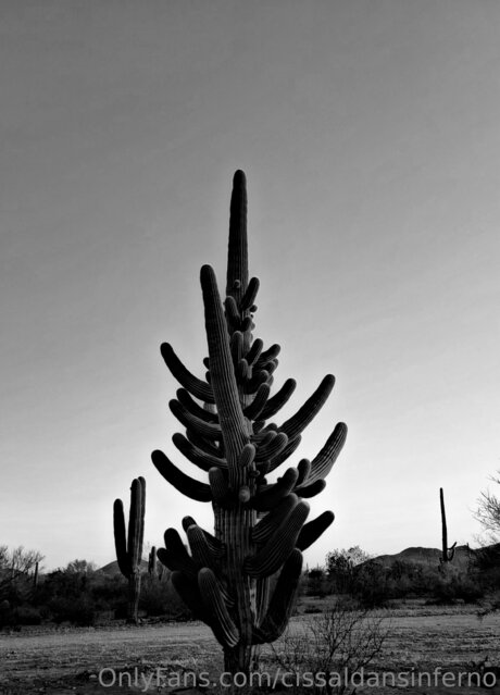 Cissaldansinferno leaked onlyfans.