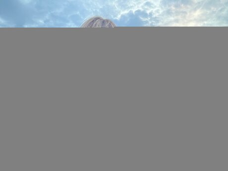 Ashley Milk leaked porn onlyfans