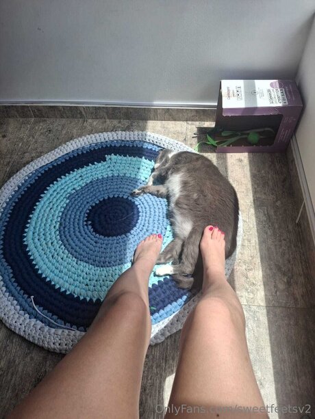 Sweetfeetsv2 only fans free