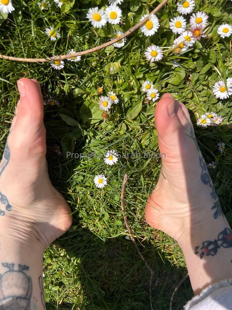 Sarahmoonsg xxx onlyfans