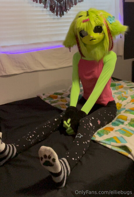 Elliebugs onlyfans porn