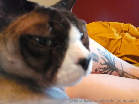 Pinkwater Forestpixie free onlyfans porn