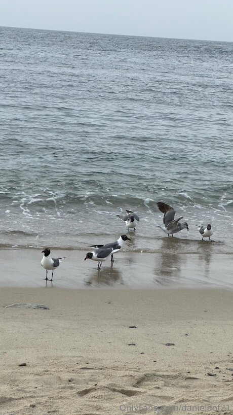 Danielaof21 onlyfans leaked tits