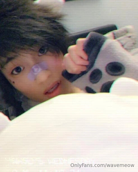 Wavemeow onlyfans naked leaked