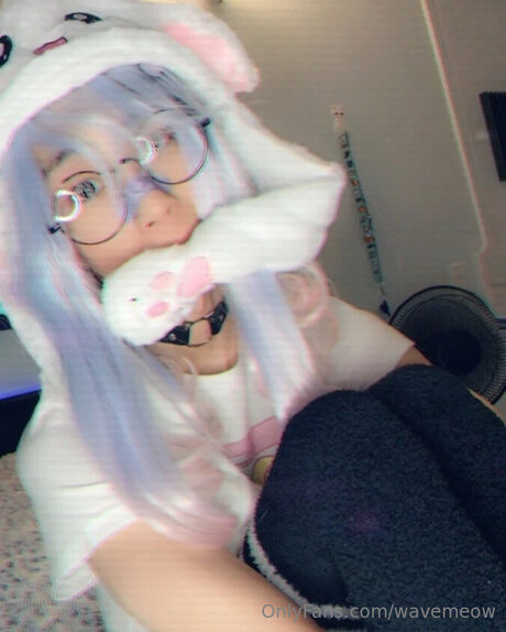 Wavemeow onlyfans star