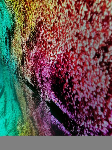 Blankslatee free onlyfans porn