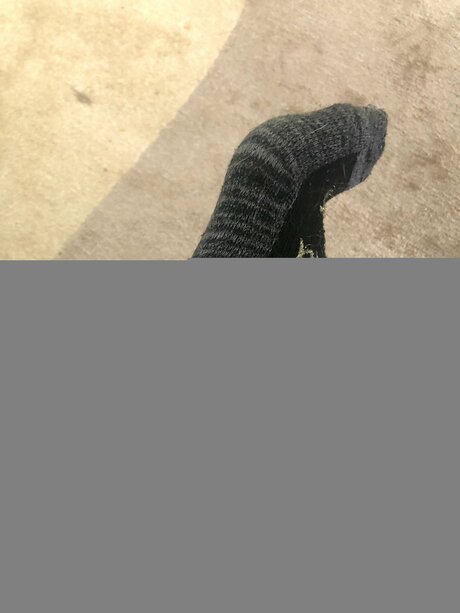 Alexacelia onlyfans leaks free