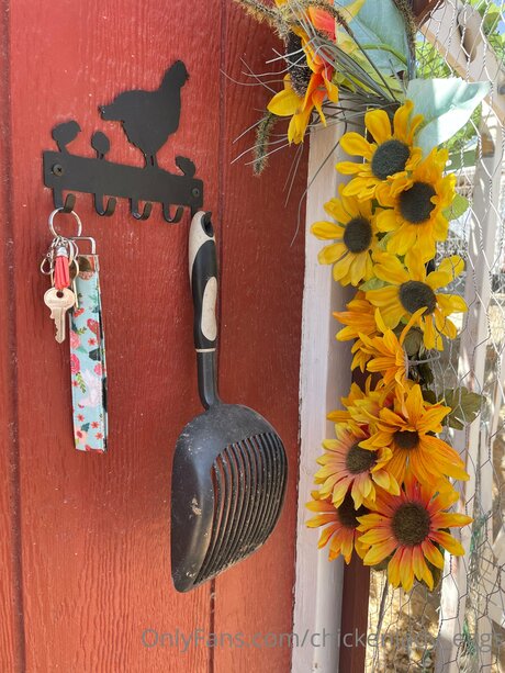 Chickenlady Eggs onlyfans nide