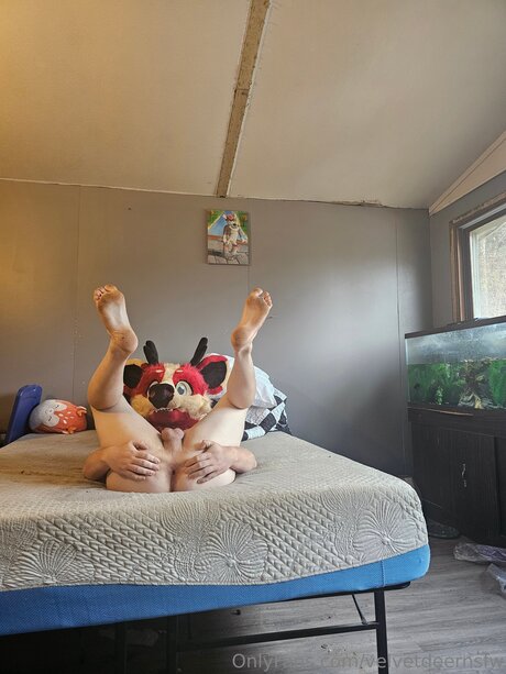 Velvetdeernsfw onlyfans sexy