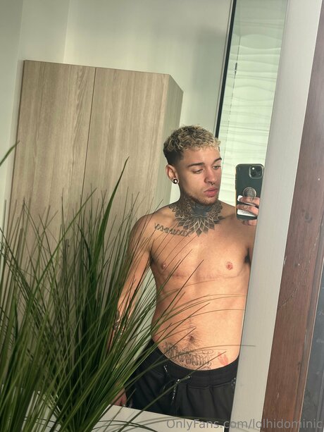 Ftmonlytrans onlyfans striptease