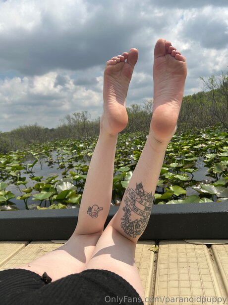 Paranoidpuppy onlyfans keak