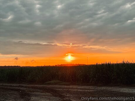 Thehooligan15 onlyfans nudes leak