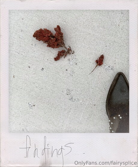 Fairysplice onlyfans nude leaked