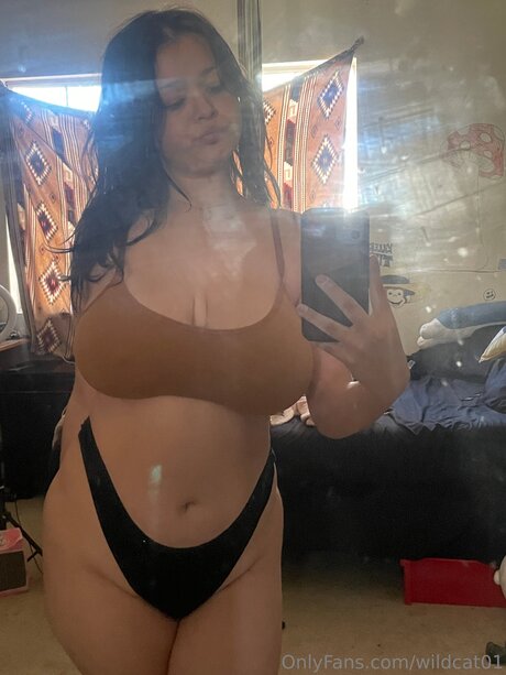 Wildcat01 free onlyfans