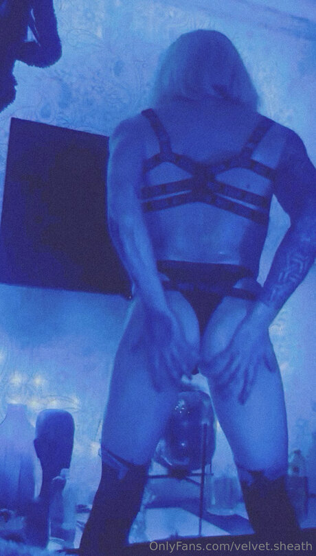 Velvet Sheath onlyfans ass