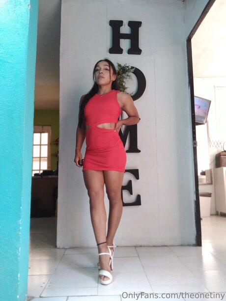 Theonetiny onlyfans fotos