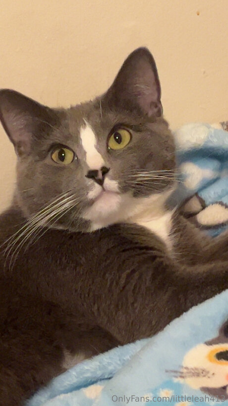 Littleleah413 onlyfans nude pictures