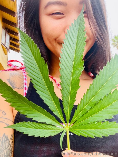 Tkhoneybun only fans pic