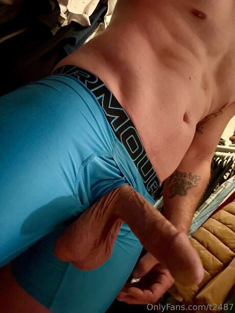 T2487 leaks only fans