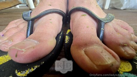 Ladykassmenagerie leak only fans