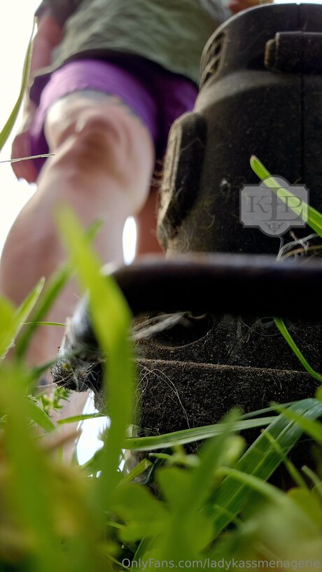 Ladykassmenagerie naked onlyfans leaks