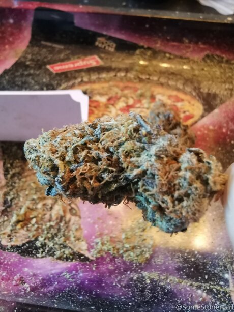 Somestonergirl new leaked onlyfans