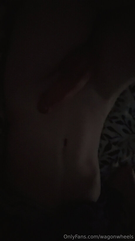 Wagonwheels Profile pic