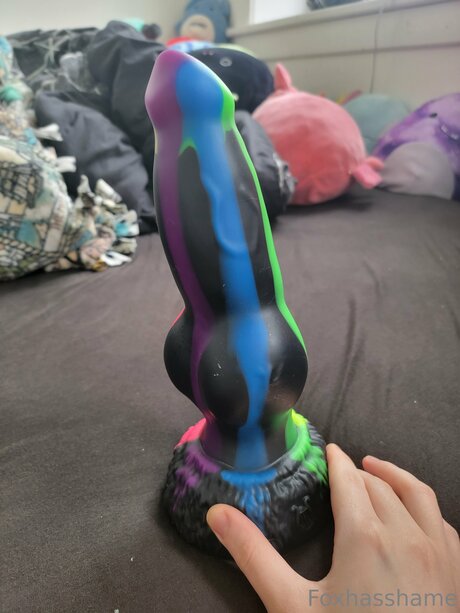 Foxhasshame Profile pic