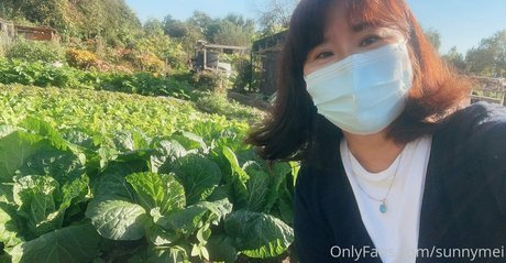 sunnymei onlyfans content type