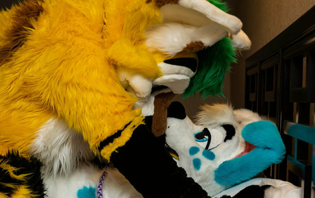 thepineapplefox onlyfans leaked free