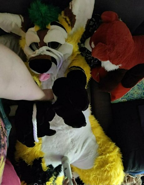 thepineapplefox onlyfans content leaked