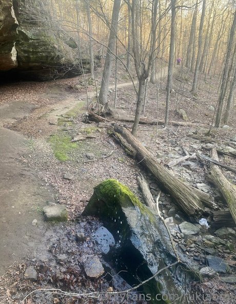 rukiabrat leaks only fans