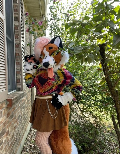 fox anatomy onlyfans nudes leak