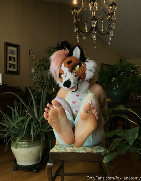 fox anatomy porn only fans