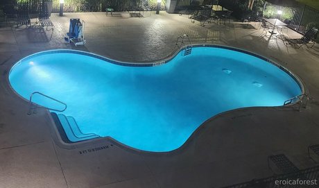 EroicaForest fans only