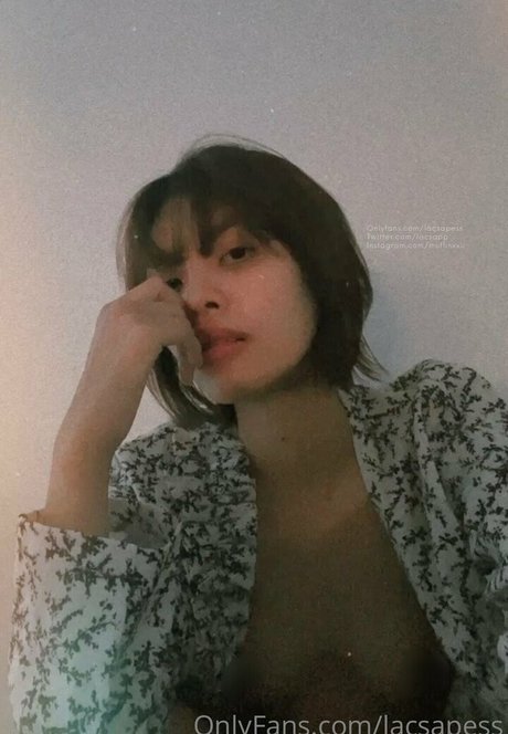 bibbob onlyfans archive