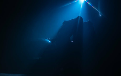 Anais Dior Palacios only fans.