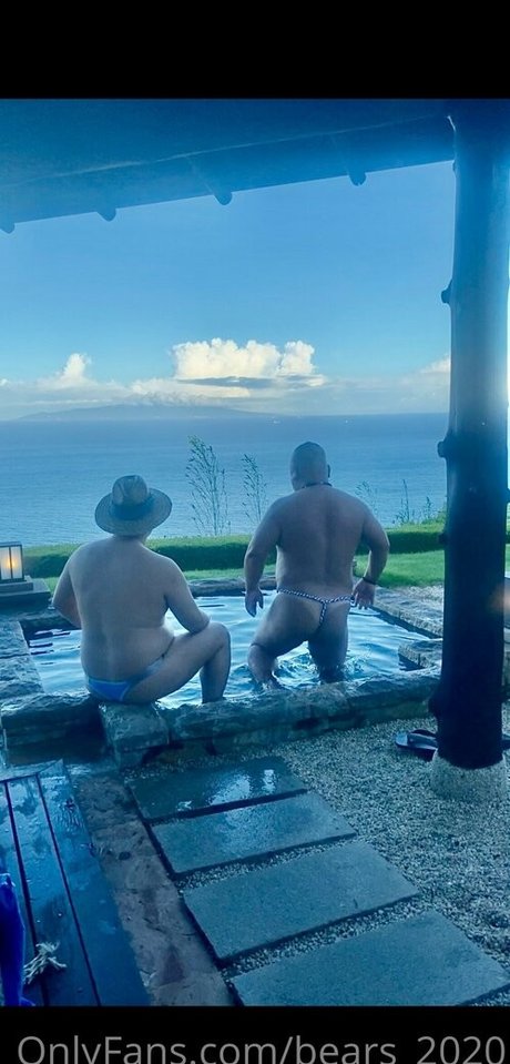 bears 2020 Profile pic