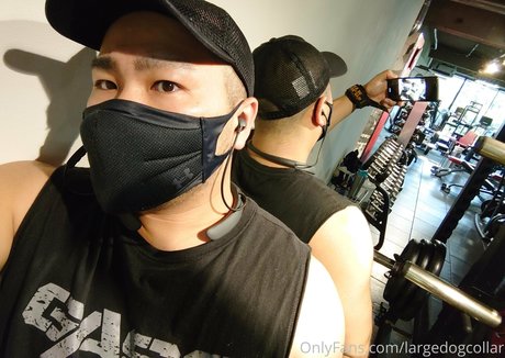 largedogcollar onlyfans model images