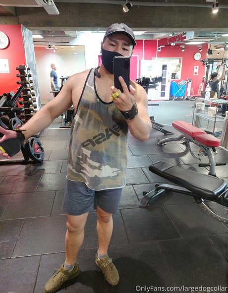 largedogcollar onlyfans strip tease