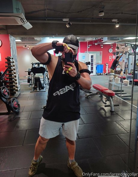 largedogcollar nude leaked onlyfans