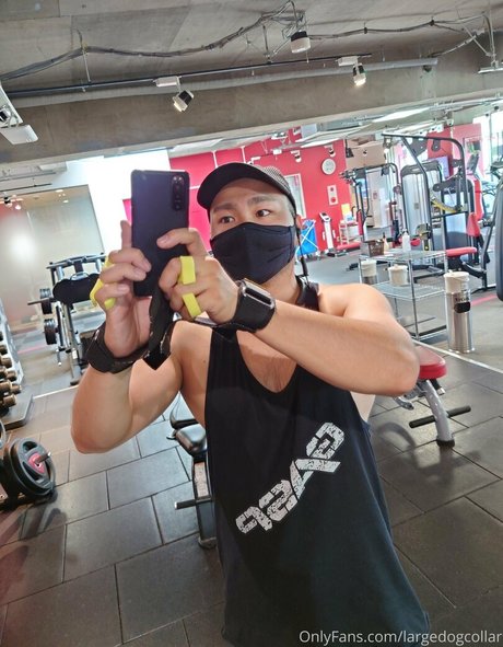 largedogcollar nude onlyfans leaks